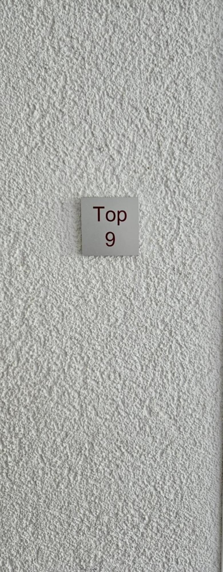 Damülser Horn Oda fotoğraf